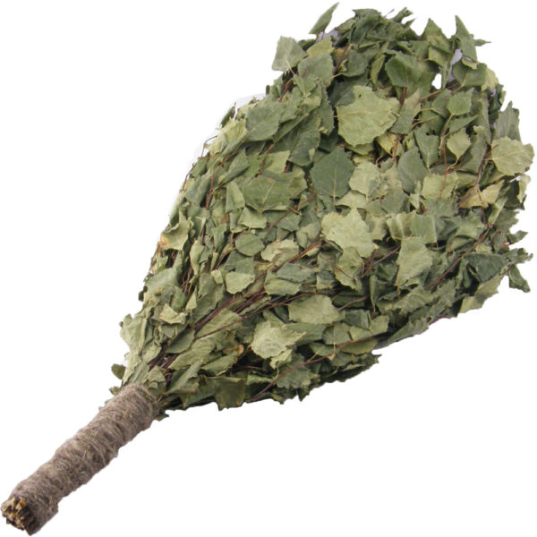 Matura pentru sauna uscata din mesteacan.